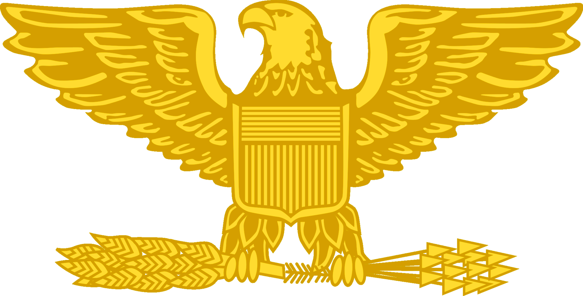 COLONEL insignia